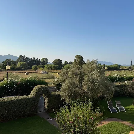 Li Cuppulati By Sardegnasummer * San Teodoro (Sardinia)