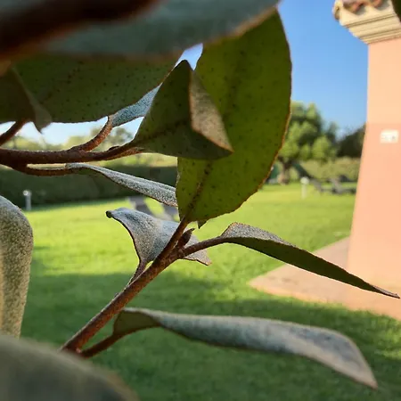 Li Cuppulati By Sardegnasummer Aparthotel